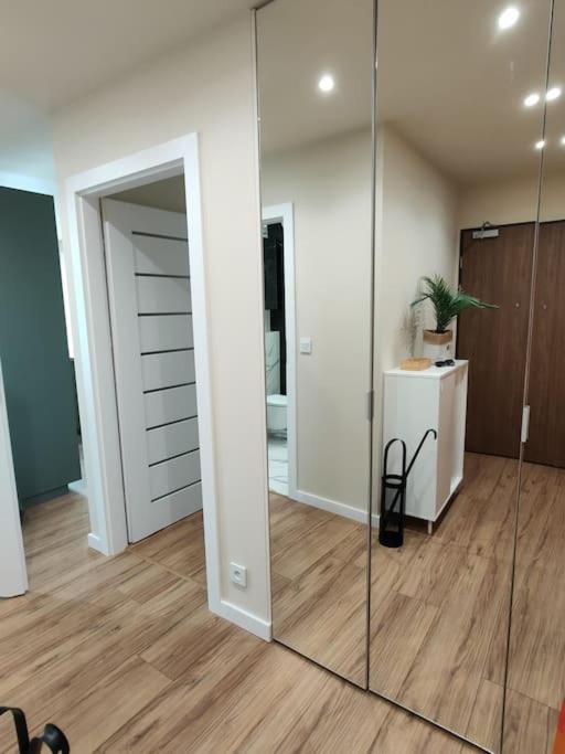 Piekny Apartament 3-Pokojowy カトヴィツェ エクステリア 写真